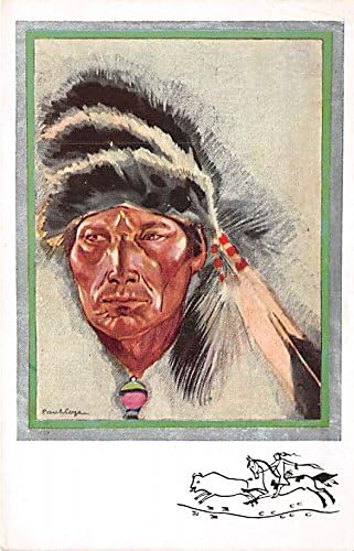 Indien Cri prenosio, Cree Indijan koji nosi skunke War Bonnet Indian razglednice