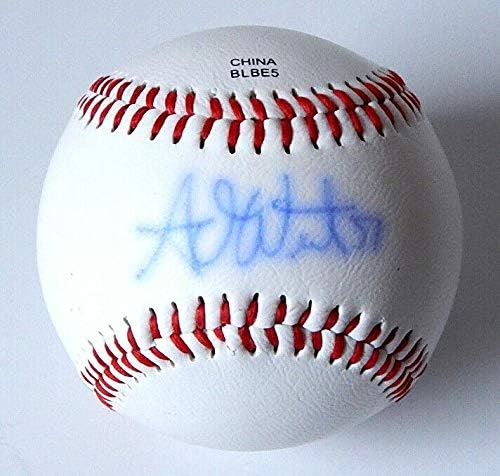 Adam Wilk 57 Potpisao je Rawlings Službeni ligaški bejzbol Auto Autograph Tigers - Autografirani bejzbol