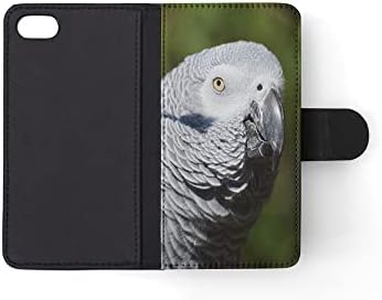 Afrički sivi papiga s ptičjim pločama za vitlovce poklopac telefona za Apple iPhone 7 | iPhone 8 | iPhone SE | iPhone SE