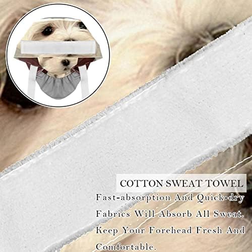 Radna kapa s gumbima znoj vrpce kravate leđa bučni šeširi, kućni ljubimac bijeli pas ljupka životinja