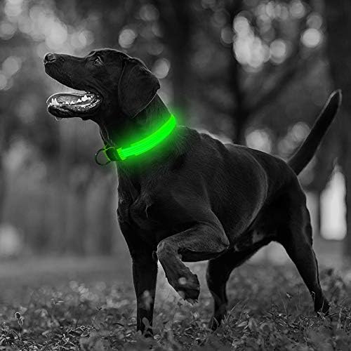 Odjel za pse, vođeni za pse, USB punjivi osvijetljeni ovratnik za pse, reflektirajući užareni sigurnosni ovratnik čineći vaše pse sigurnim
