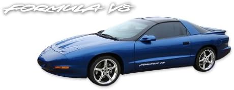 Formula 1993. 1994. Pontiac Firebird V8 naljepnice i pruge - White